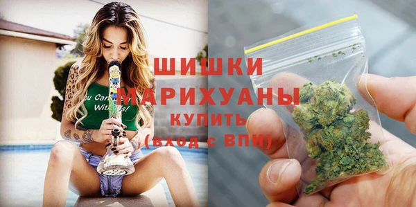 стаф Богородицк